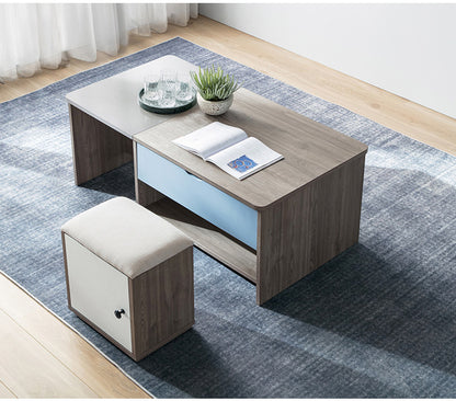 Chic Lift-Up Storage Table with Modern Elegance for Your Living Room